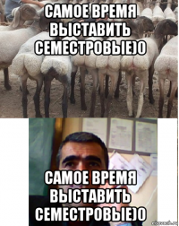 самое время выставить семестровые)0 самое время выставить семестровые)0