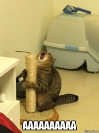  аааааааааа