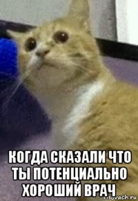  когда сказали что ты потенциально хороший врач