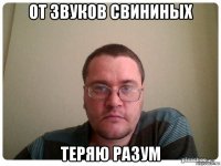 от звуков свининых теряю разум