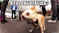 а ты работаешь? 