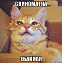 свиноматка ебанная