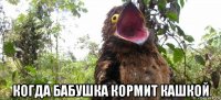  когда бабушка кормит кашкой