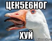 цек5е6ног хуй