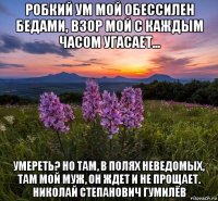 робкий ум мой обессилен бедами, взор мой с каждым часом угасает... умереть? но там, в полях неведомых, там мой муж, он ждет и не прощает. николай степанович гумилёв