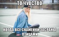 то чувство когда все скамейки засраны птицами