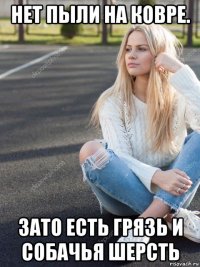 нет пыли на ковре. зато есть грязь и собачья шерсть