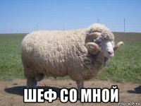  шеф со мной