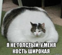  я не толстый, у меня кость широкая