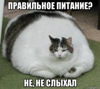 правильное питание? не, не слыхал