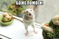 боже помоги! 