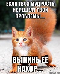если твоя мудрость не решеат твои проблемы.... выкинь её нахор....
