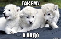 так ему и надо