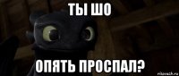 ты шо опять проспал?
