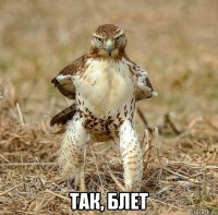  так, блет