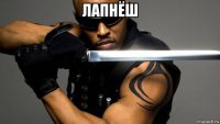 лапнёш 