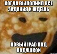 когда выполнил все задания и ждешь новый ipad под подушкой