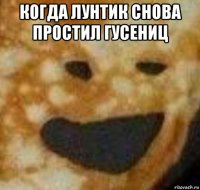 когда лунтик снова простил гусениц 