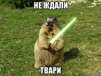 не ждали твари