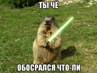ты чё обосрался что-ли