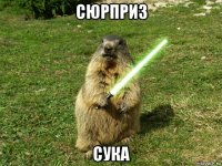 сюрприз сука