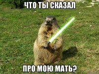 что ты сказал про мою мать?