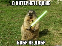 в интернете даже бобр не добр