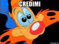 credimi 