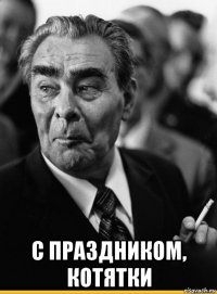  с праздником, котятки