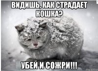 видишь, как страдает кошка? убей и сожри!!!