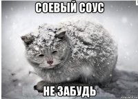 соевый соус не забудь