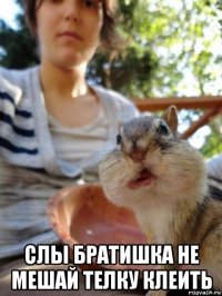  слы братишка не мешай телку клеить