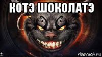 котэ шоколатэ 