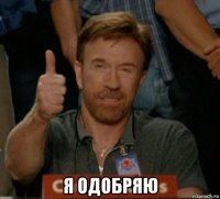  я одобряю