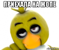 приехала на жопе 