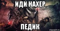 иди нахер педик