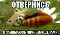 отвернись я занимаюсь личными делами