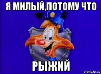 я милый,потому что рыжий