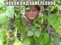 новой вид хамелеонов 