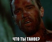 что ты такое?