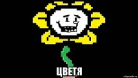  цветя