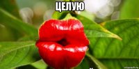целую 