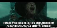  готовь пушки живо, щенки недоделанные! да ради ебеньграда и умереть можно!