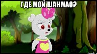 где мой шанмао? 