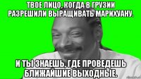 твое лицо, когда в грузии разрешили выращивать марихуану. и ты знаешь, где проведешь ближайшие выходные.