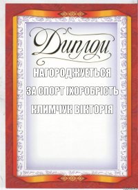 Нагороджуеться за спорт іхоробрість климчук вікторія