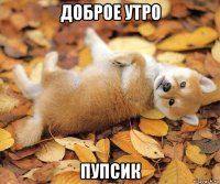 доброе утро пупсик