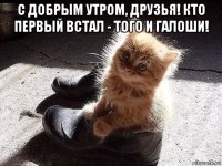 с добрым утром, друзья! кто первый встал - того и галоши! 