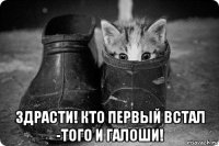  здрасти! кто первый встал -того и галоши!