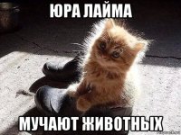 юра лайма мучают животных